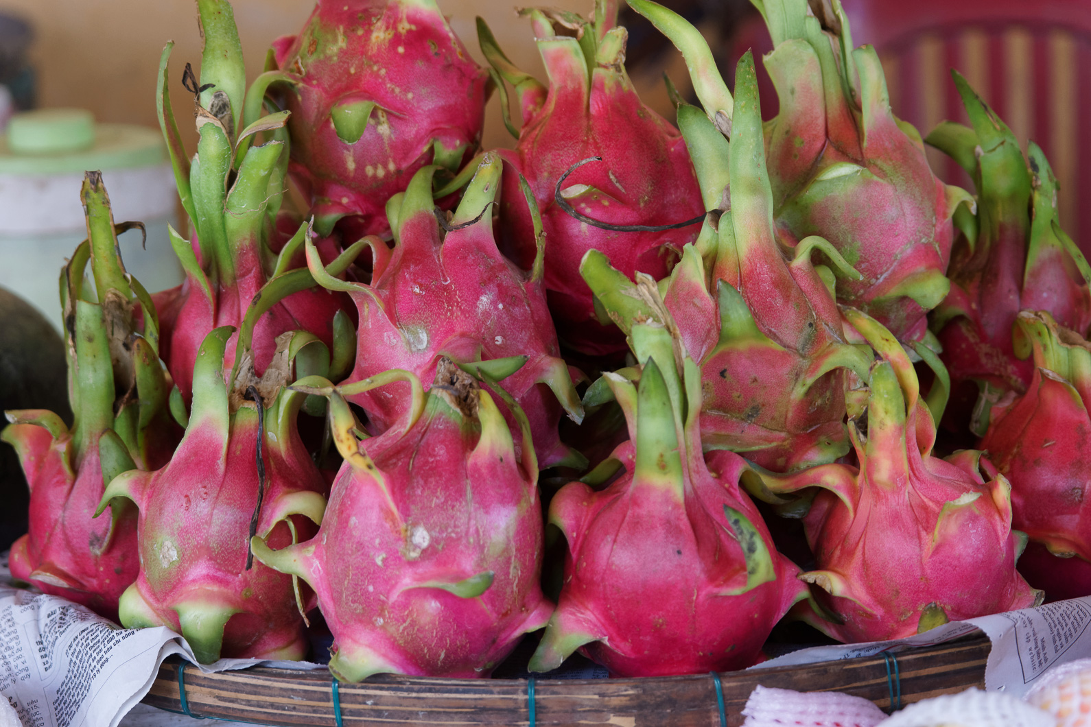 20141117 120719 Hoi An